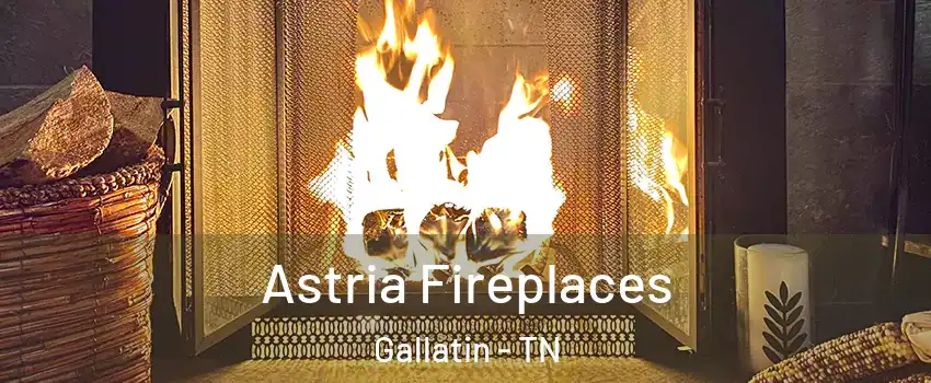  Astria Fireplaces Gallatin - TN