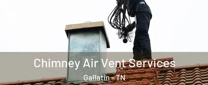  Chimney Air Vent Services Gallatin - TN