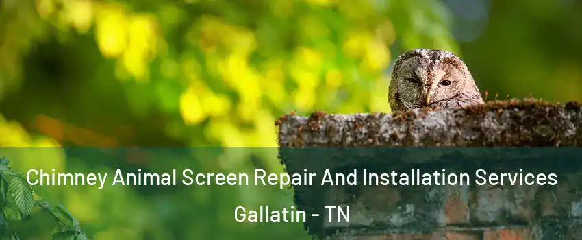  Chimney Animal Screen Repair And Installation Services Gallatin - TN