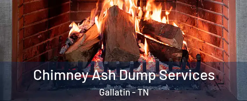  Chimney Ash Dump Services Gallatin - TN