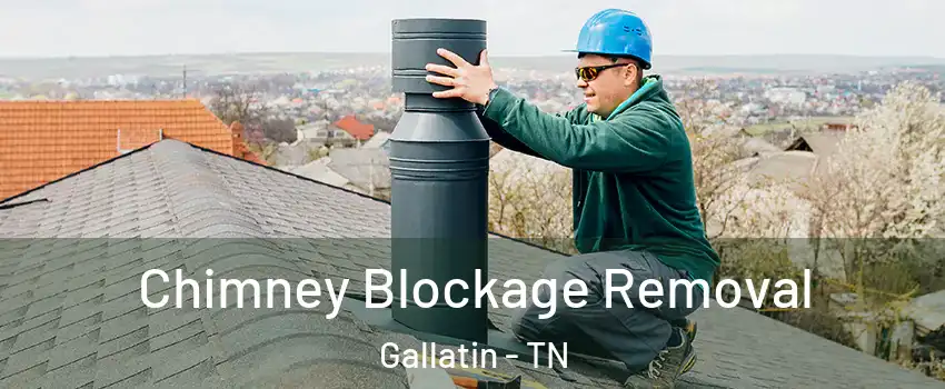  Chimney Blockage Removal Gallatin - TN