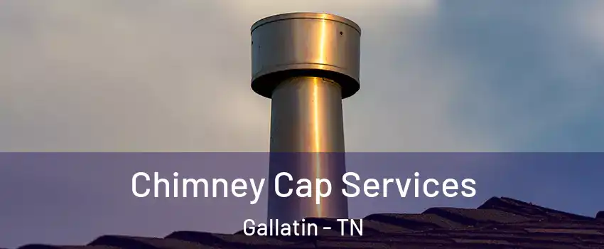  Chimney Cap Services Gallatin - TN