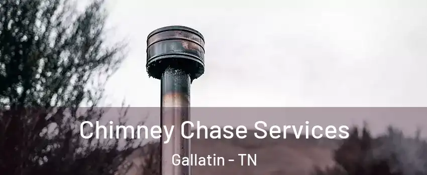  Chimney Chase Services Gallatin - TN