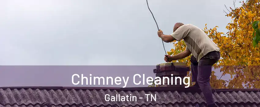  Chimney Cleaning Gallatin - TN