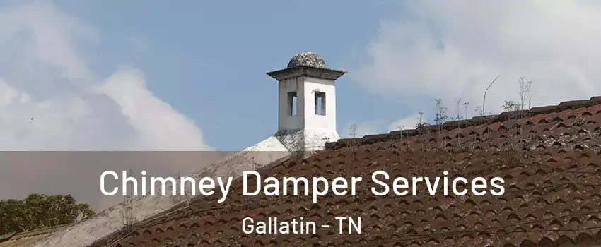  Chimney Damper Services Gallatin - TN