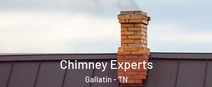  Chimney Experts Gallatin - TN