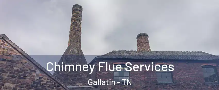  Chimney Flue Services Gallatin - TN