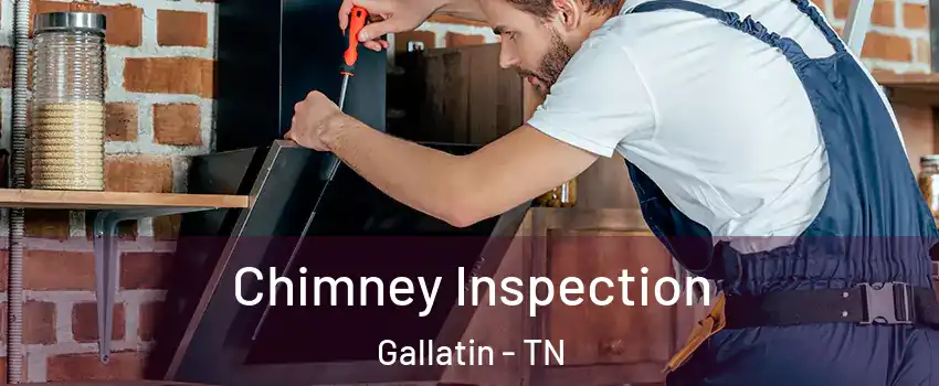  Chimney Inspection Gallatin - TN