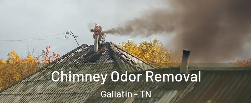  Chimney Odor Removal Gallatin - TN