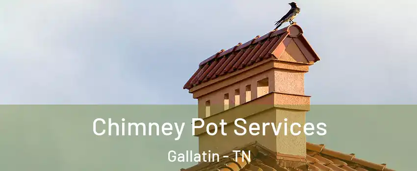  Chimney Pot Services Gallatin - TN