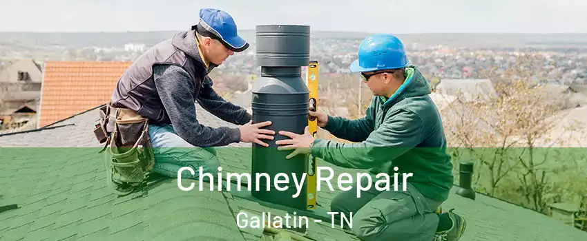  Chimney Repair Gallatin - TN