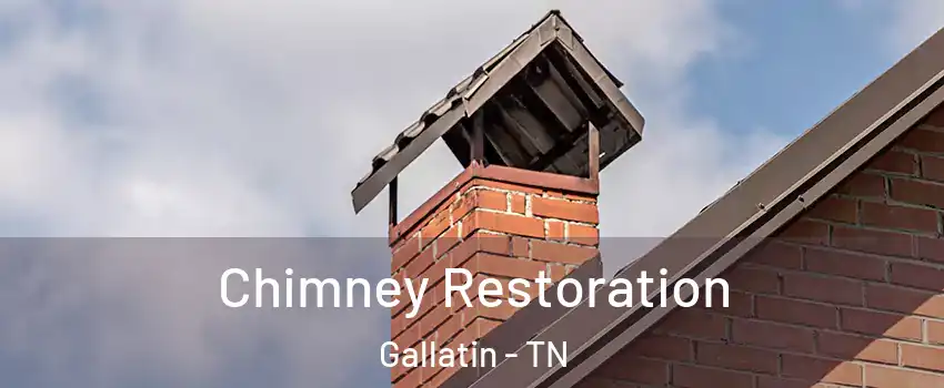  Chimney Restoration Gallatin - TN