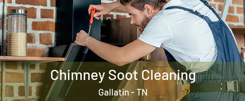  Chimney Soot Cleaning Gallatin - TN