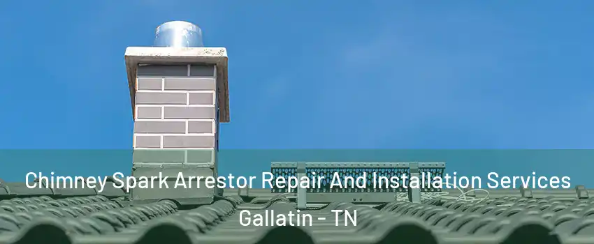  Chimney Spark Arrestor Repair And Installation Services Gallatin - TN