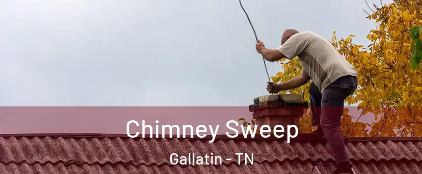  Chimney Sweep Gallatin - TN