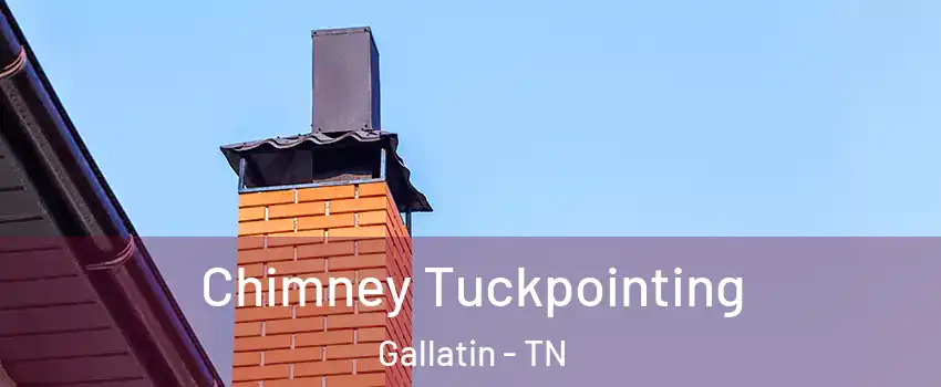  Chimney Tuckpointing Gallatin - TN