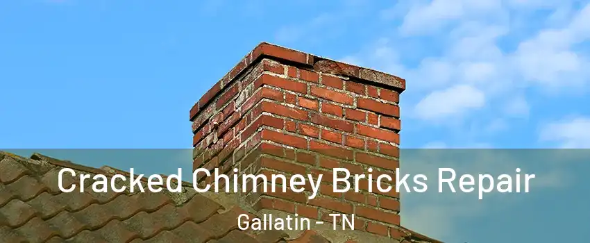  Cracked Chimney Bricks Repair Gallatin - TN