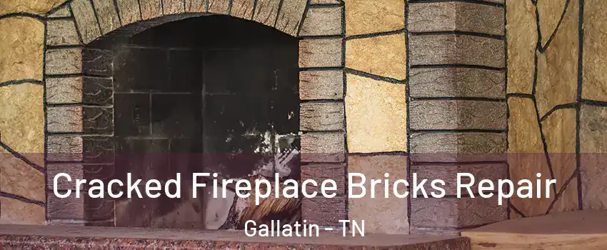  Cracked Fireplace Bricks Repair Gallatin - TN