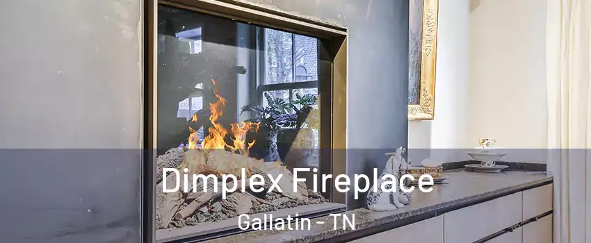  Dimplex Fireplace Gallatin - TN