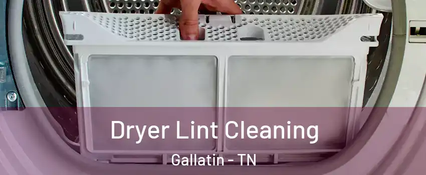  Dryer Lint Cleaning Gallatin - TN