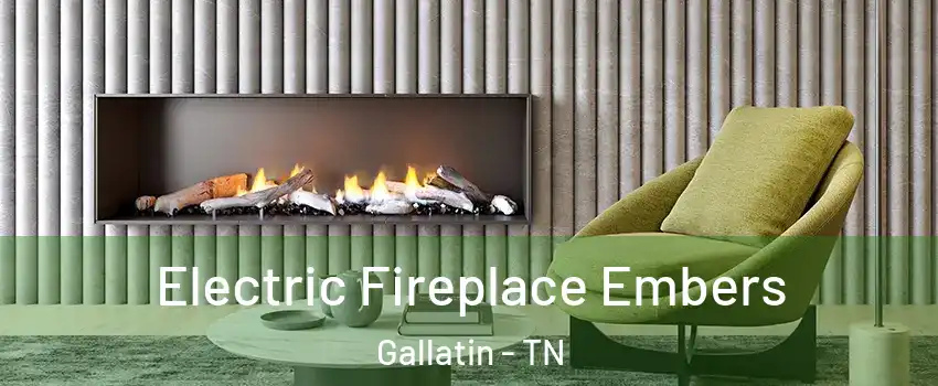  Electric Fireplace Embers Gallatin - TN