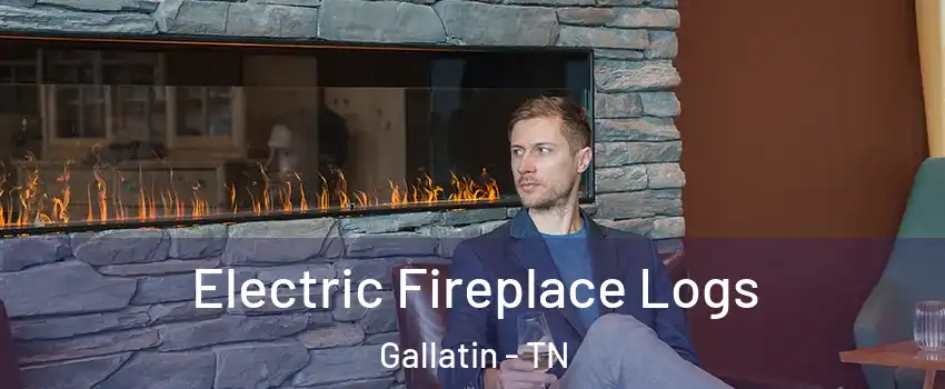  Electric Fireplace Logs Gallatin - TN
