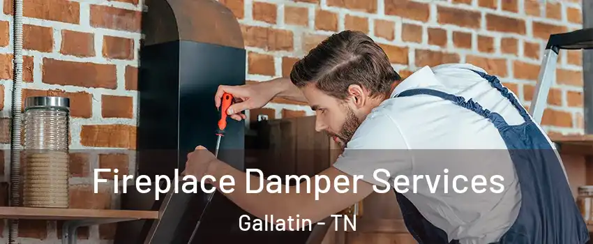  Fireplace Damper Services Gallatin - TN