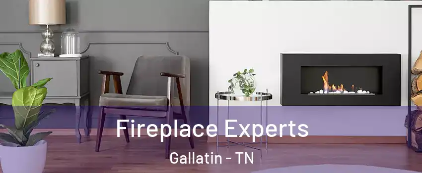  Fireplace Experts Gallatin - TN