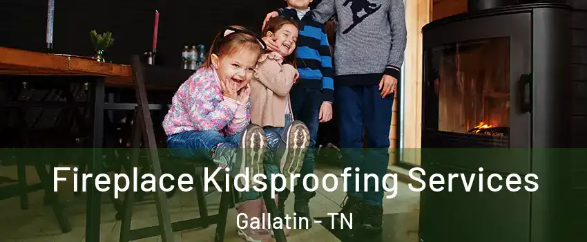  Fireplace Kidsproofing Services Gallatin - TN