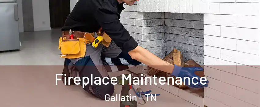  Fireplace Maintenance Gallatin - TN