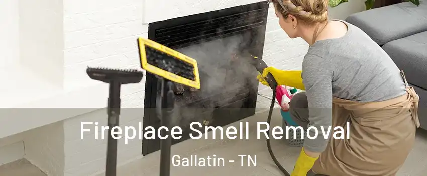  Fireplace Smell Removal Gallatin - TN