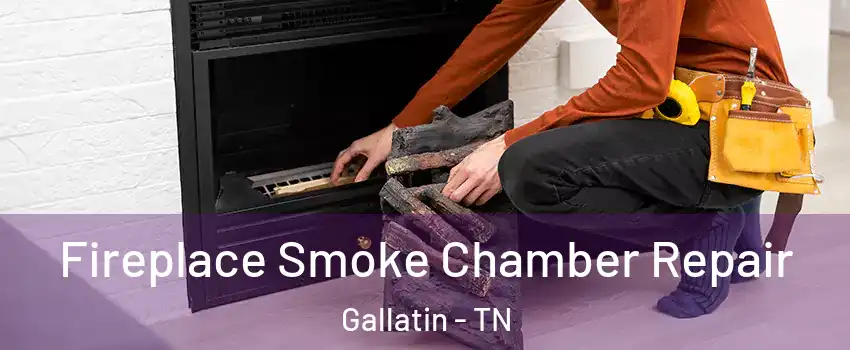  Fireplace Smoke Chamber Repair Gallatin - TN
