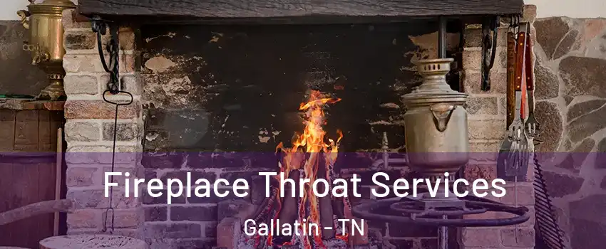  Fireplace Throat Services Gallatin - TN