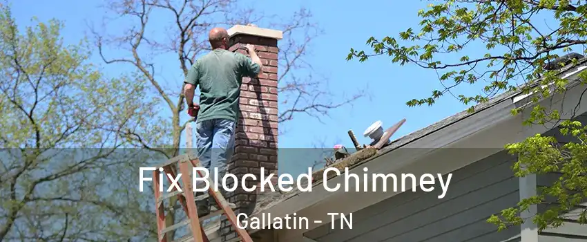  Fix Blocked Chimney Gallatin - TN