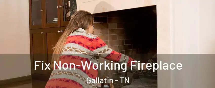  Fix Non-Working Fireplace Gallatin - TN