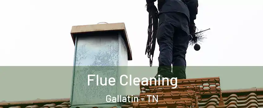  Flue Cleaning Gallatin - TN