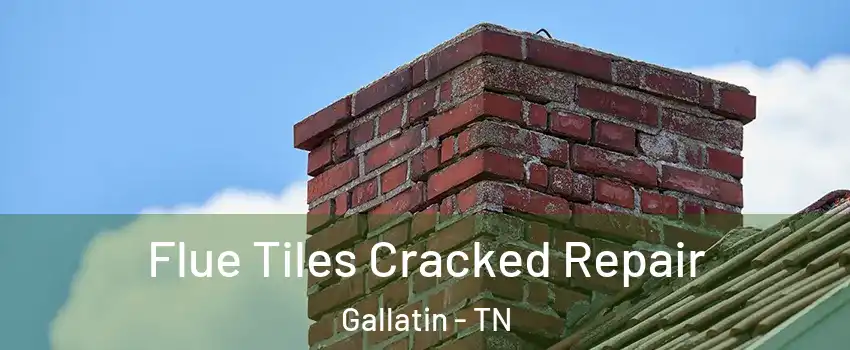  Flue Tiles Cracked Repair Gallatin - TN