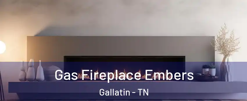  Gas Fireplace Embers Gallatin - TN