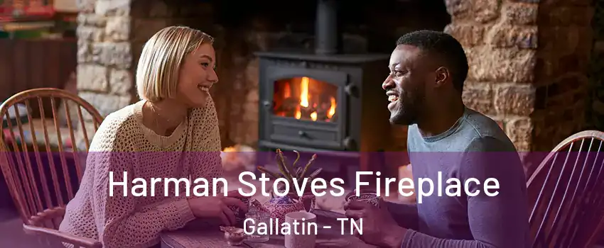  Harman Stoves Fireplace Gallatin - TN