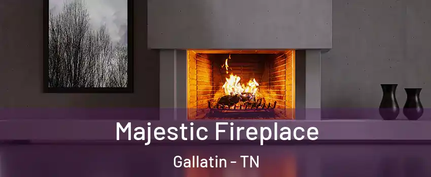  Majestic Fireplace Gallatin - TN