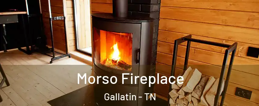  Morso Fireplace Gallatin - TN