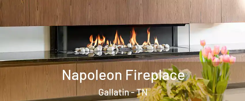  Napoleon Fireplace Gallatin - TN