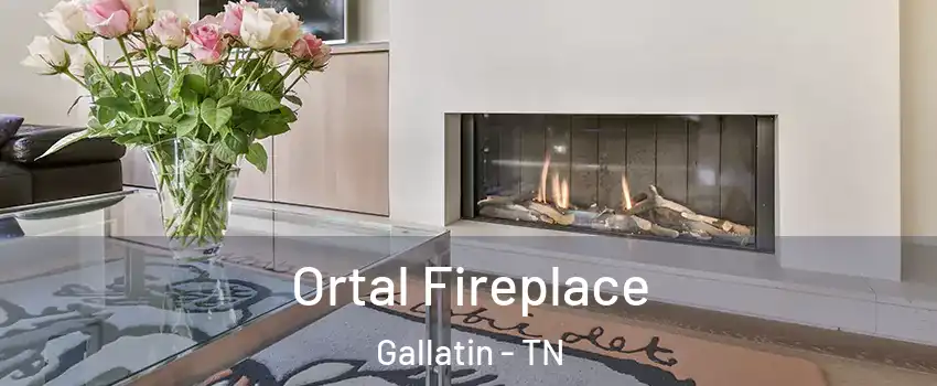  Ortal Fireplace Gallatin - TN