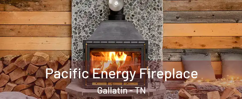  Pacific Energy Fireplace Gallatin - TN