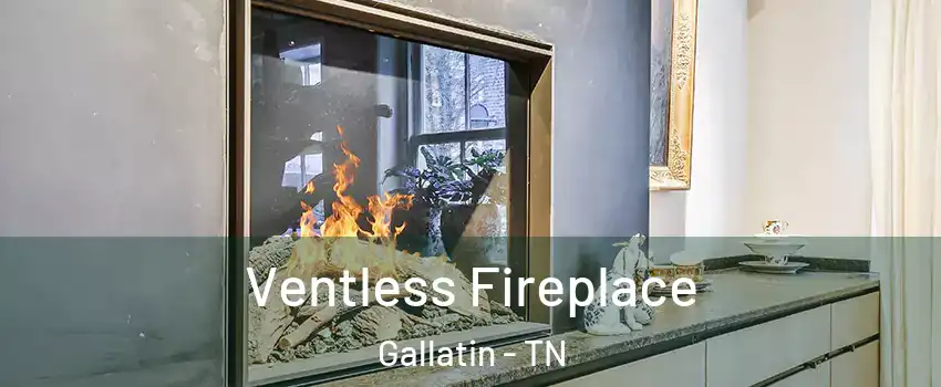  Ventless Fireplace Gallatin - TN